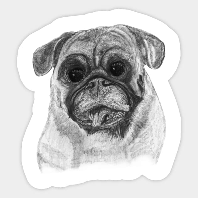 Billy The Pug Sticker by Carruthers